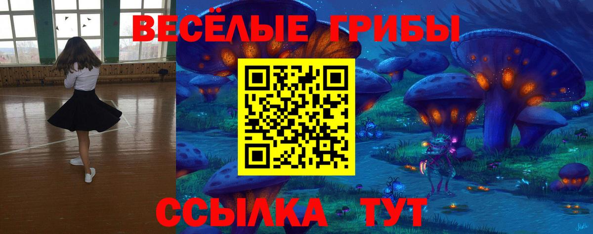 Россия  наркотики  Вход с VPN  Псилоцибиновые грибы Psilocybe 