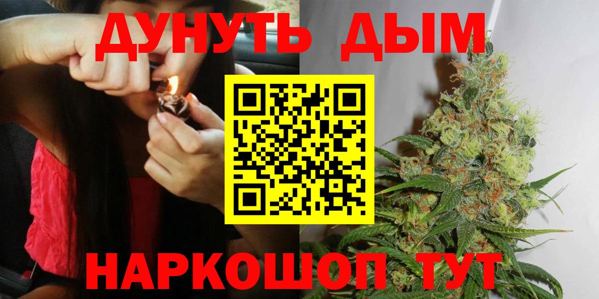 Россия  Бошки Шишки планчик  Бошки марихуана Bruce Banner  Бошки Шишки тримм  Вход с VPN 